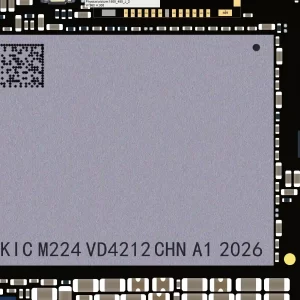 IC Nand Flash iPhone 12 Pro Max (U2900)